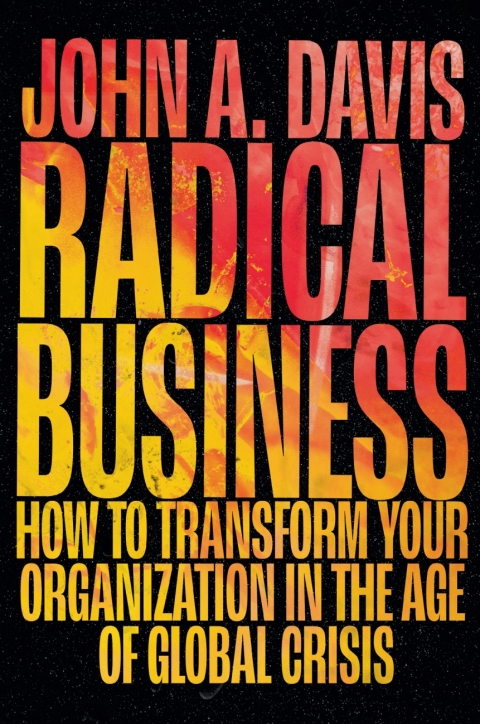 Cover image for book Radical Business