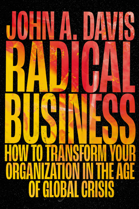 Cover image for book Radical Business