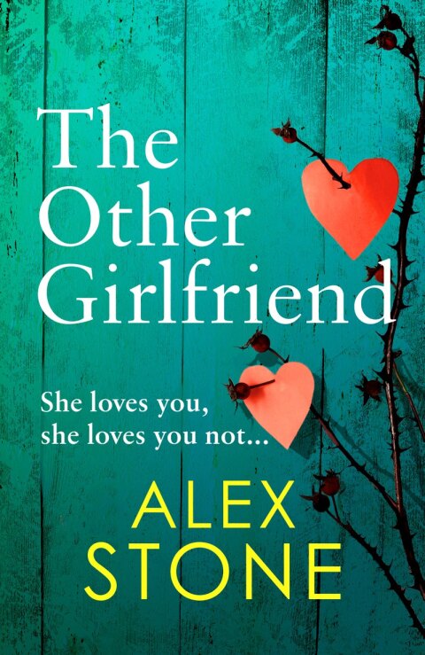 Cover image for book The Other Girlfriend