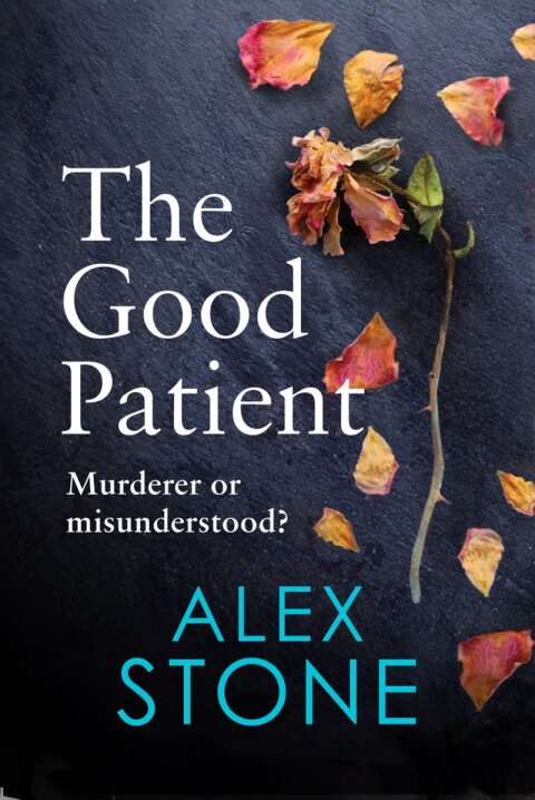 Cover image for book The Good Patient