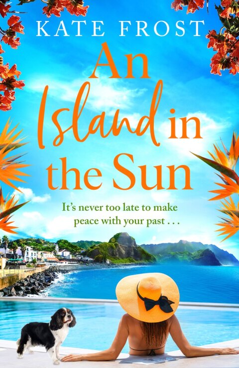 Cover image for book An Island in the Sun