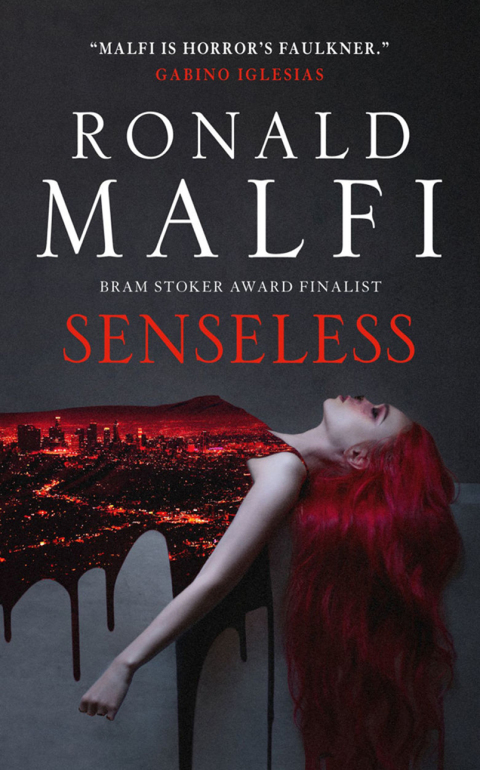 Cover image for book Senseless
