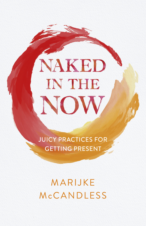 Cover image for book Naked in the Now