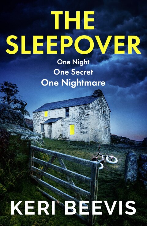 Cover image for book The Sleepover