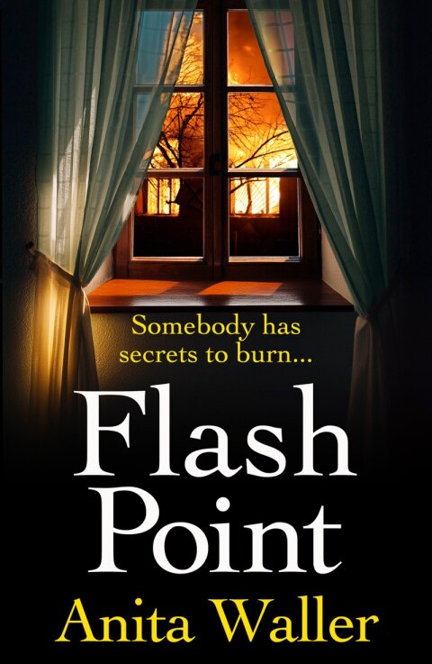 Cover image for book Flash Point