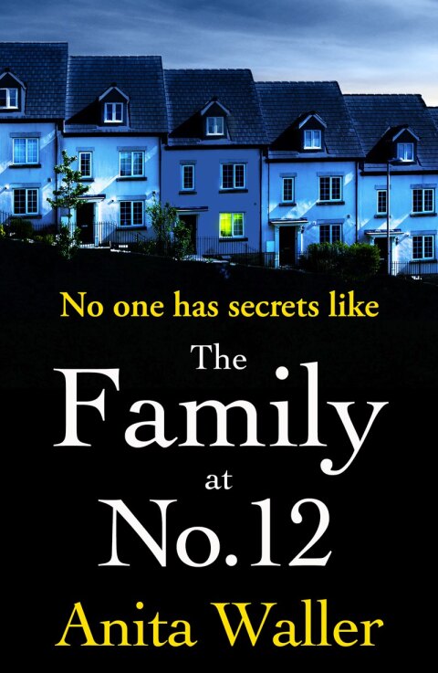 Cover image for book The Family at No. 12