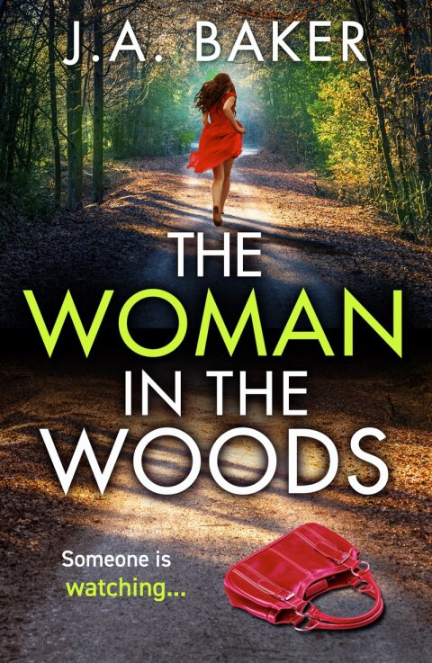 Cover image for book The Woman In The Woods