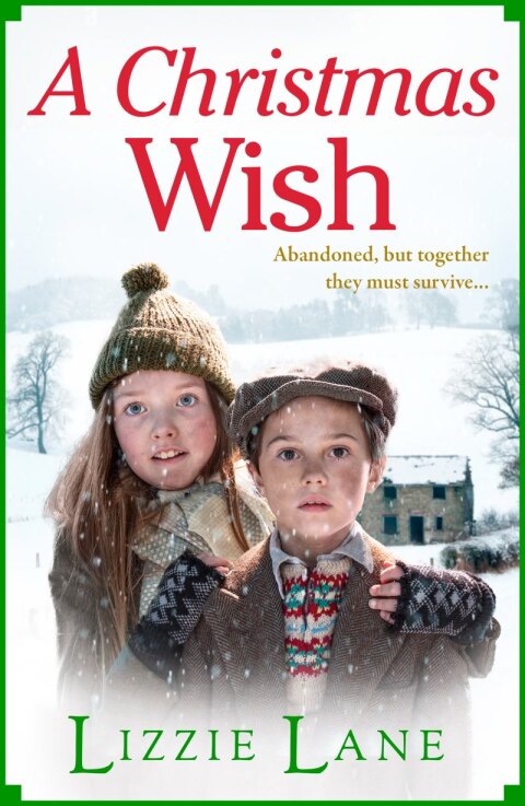 Cover image for book A Christmas Wish