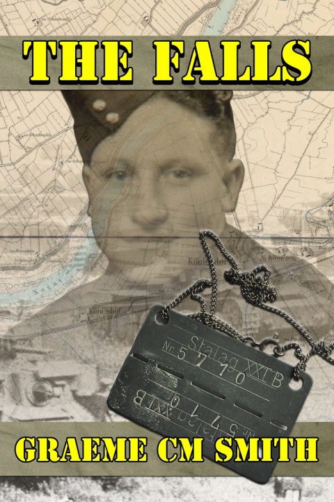 Cover image for book The Falls