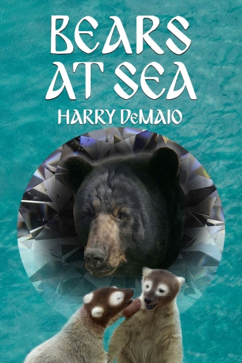 Cover image for book Bears At Sea