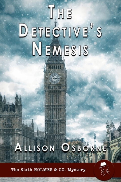 Cover image for book The Detective's Nemesis