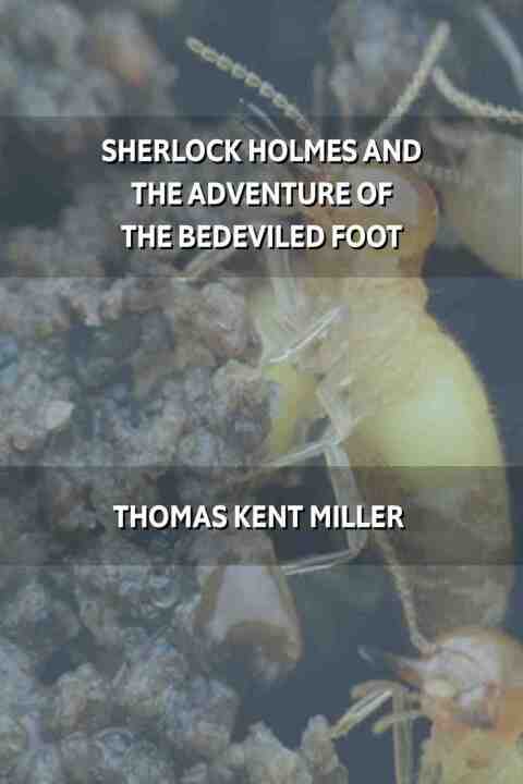 Sherlock Holmes and the Adventure of the Bedeviled Foot 