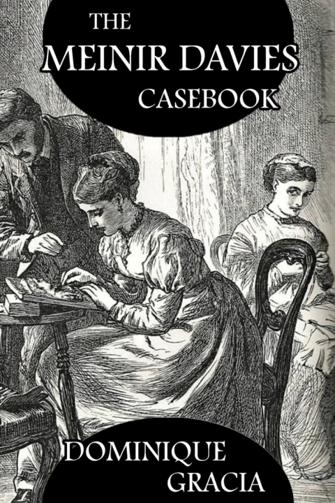 Cover image for book The Meinir Davies Casebook