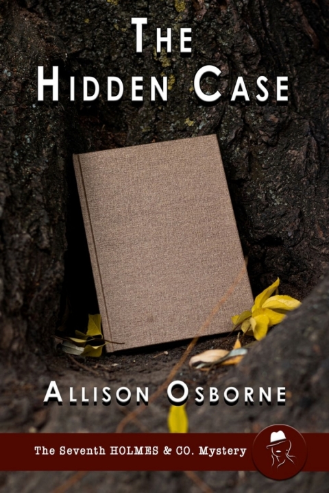 Cover image for book The Hidden Case