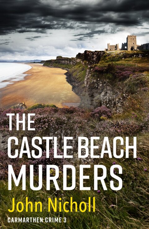 Cover image for book The Castle Beach Murders