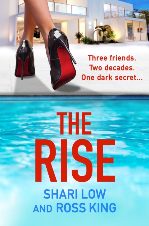 Cover image for book The Rise