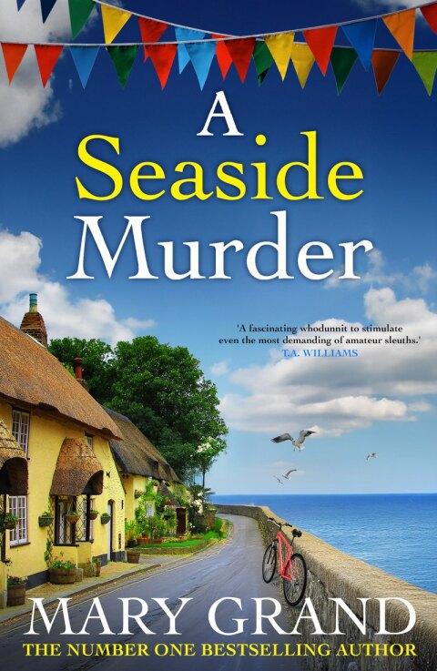 Cover image for book A Seaside Murder