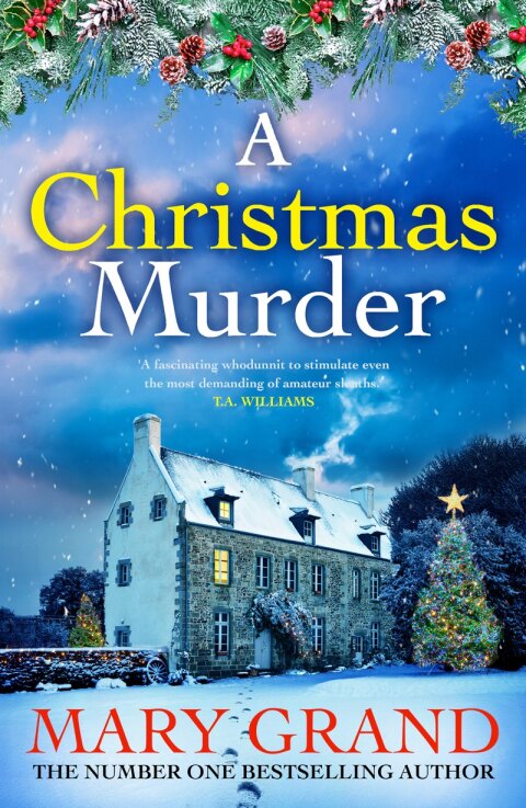 Cover image for book A Christmas Murder