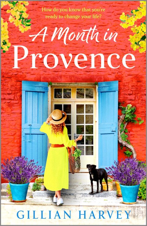 Cover image for book A Month in Provence