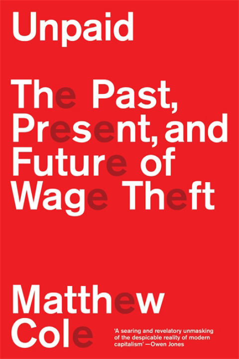 Cover image for book Unpaid
