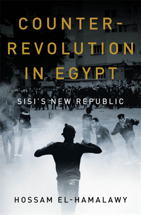 Cover image for book Counterrevolution in Egypt