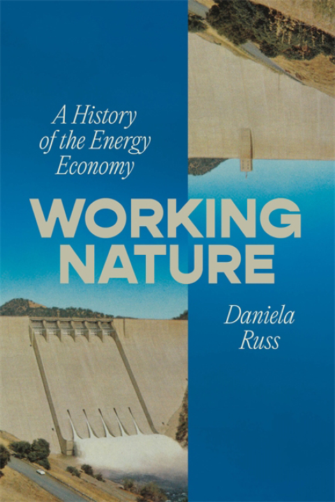 Cover image for book Working Nature