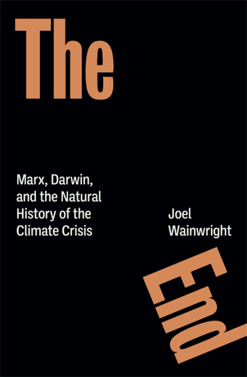 Cover image for book The End