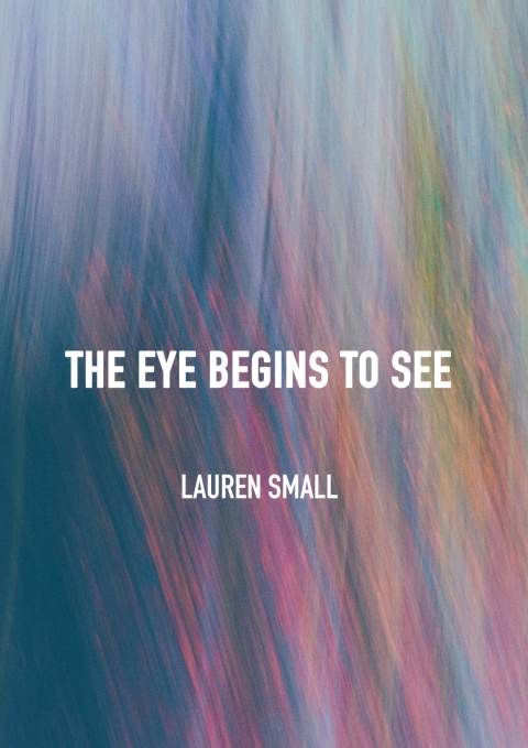 Cover image for book The Eye Begins to See