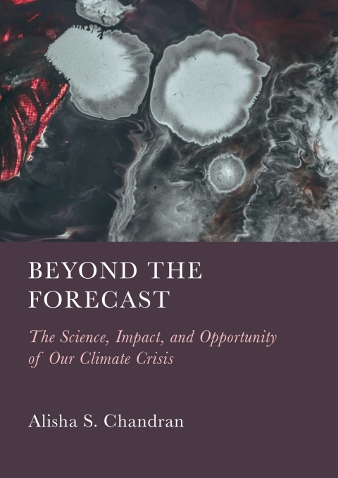 Cover image for book Beyond the Forecast