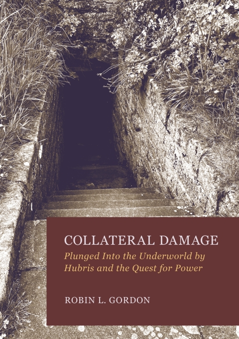 Cover image for book Collateral Damage