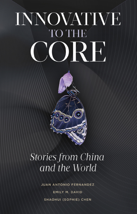 Cover image for book Innovative to the Core