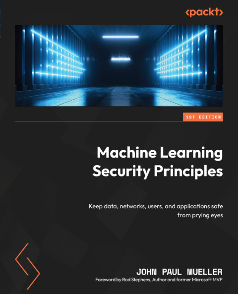 Machine Learning Security Principles 