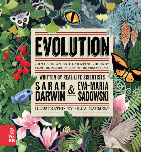 Cover image for book Evolution