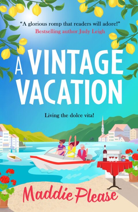 Cover image for book A Vintage Vacation