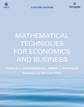 Mathematical Techniques for Economics and Business (Custom Ebook)