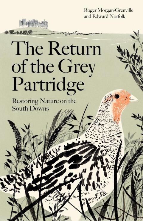 The Return of the Grey Partridge 
