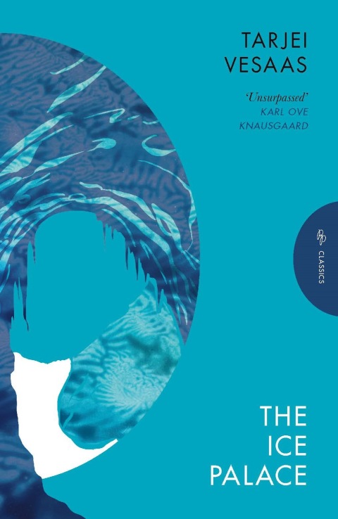 Cover image for book The Ice Palace