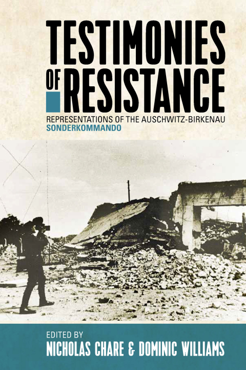 Cover image for book Testimonies of Resistance
