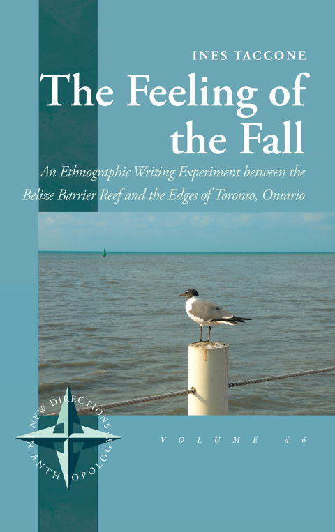 Cover image for book The Feeling of the Fall