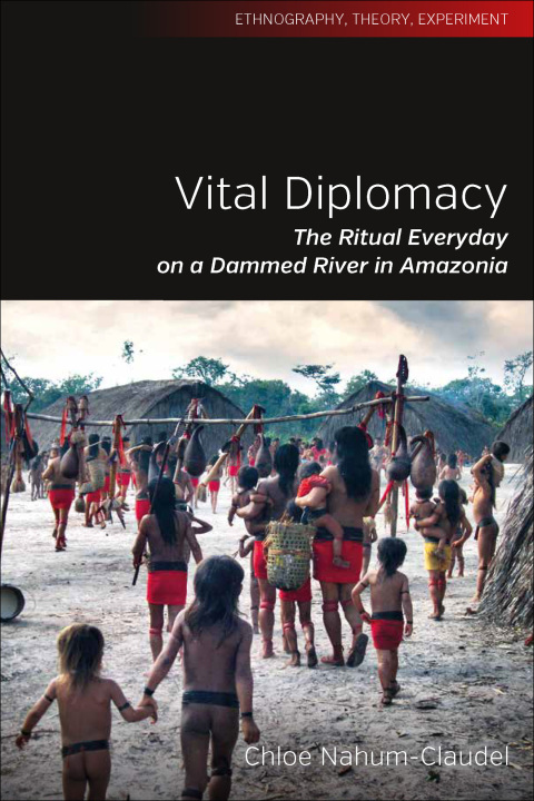 Cover image for book Vital Diplomacy