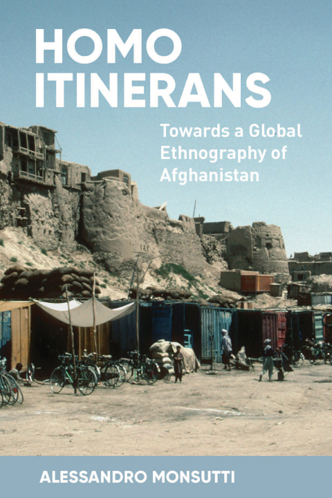 Cover image for book Homo Itinerans