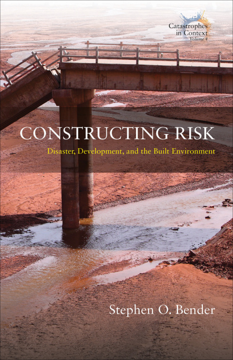 Cover image for book Constructing Risk