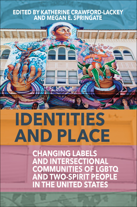 Cover image for book Identities and Place