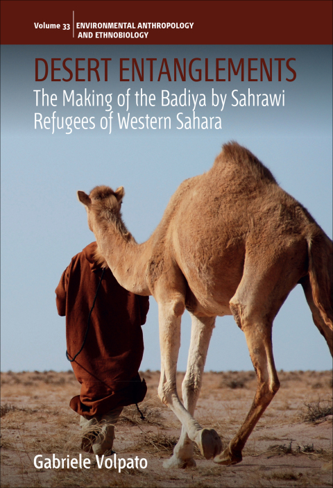 Cover image for book Desert Entanglements