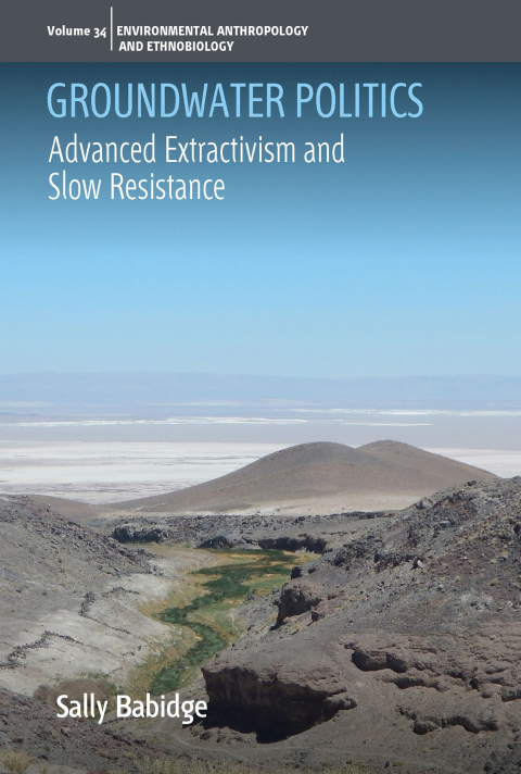Cover image for book Groundwater Politics