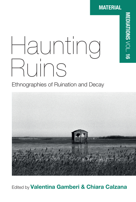 Cover image for book Haunting Ruins