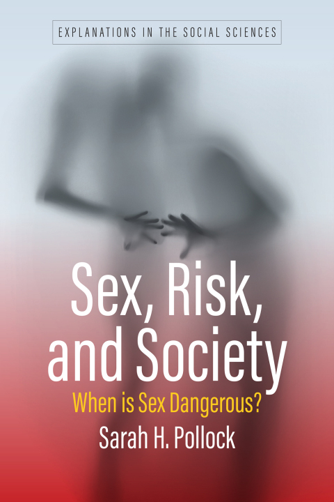 Cover image for book Sex, Risk, and Society