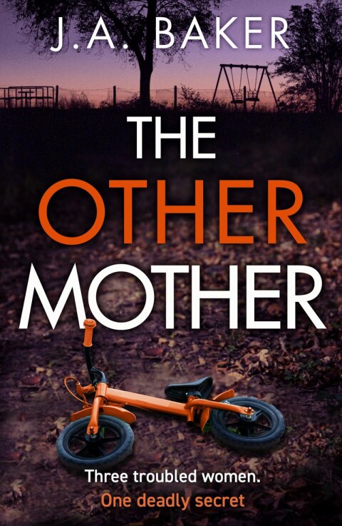 Cover image for book The Other Mother