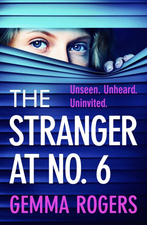 Cover image for book The Stranger at No. 6