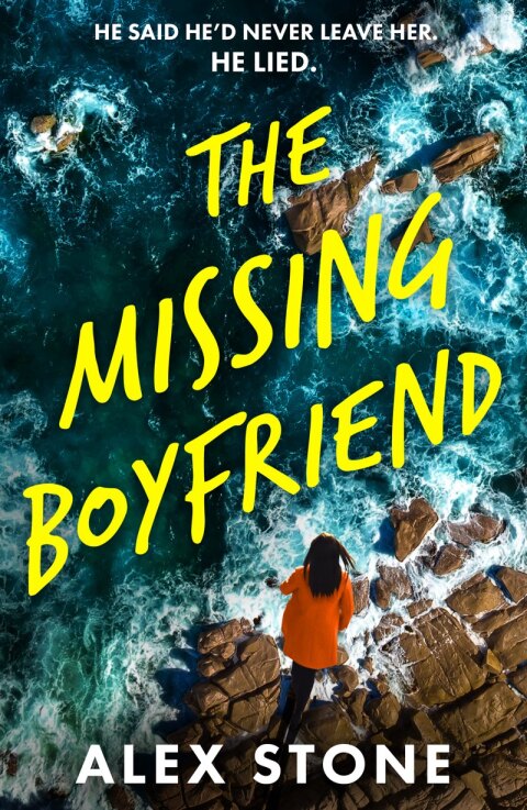 Cover image for book The Missing Boyfriend
